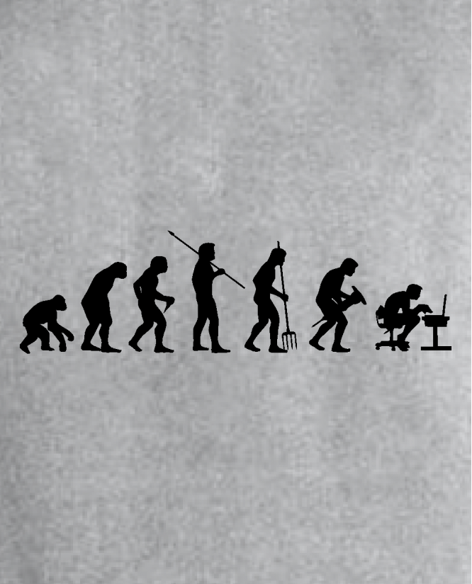 Evolution of programming